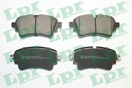 LPR 05P2039 Колодки торм.задние
