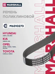 MARSHALL M6310273 Ремень поликлиновой
