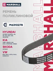 MARSHALL M6310278 Ремень поликлиновой