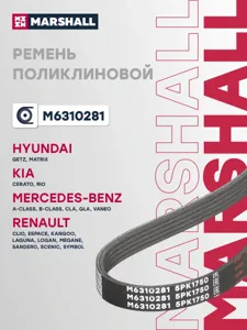 MARSHALL M6310281 Ремень поликлиновой