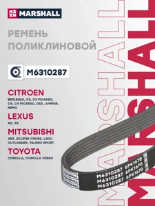 MARSHALL M6310287 Ремень поликлиновой
