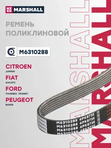 MARSHALL M6310288 Ремень поликлиновой