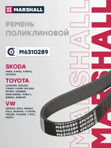 MARSHALL M6310289 Ремень поликлиновой