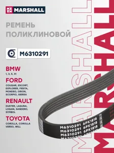 MARSHALL M6310291 Ремень поликлиновой