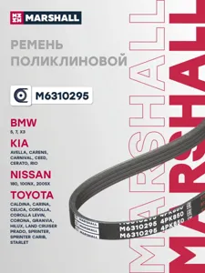 MARSHALL M6310295 Ремень поликлиновой