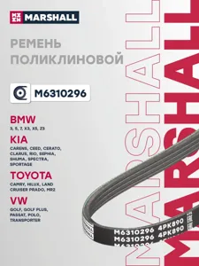 MARSHALL M6310296 Ремень поликлиновой