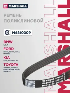 MARSHALL M6310309 Ремень поликлиновой