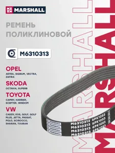 MARSHALL M6310313 Ремень поликлиновой