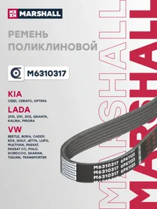 MARSHALL M6310317 Ремень поликлиновой
