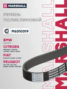 MARSHALL M6310319 Ремень поликлиновой