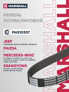 MARSHALL M6310337 Ремень поликлиновой