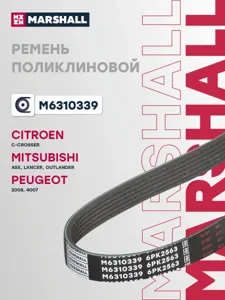 MARSHALL M6310339 Ремень поликлиновой