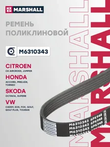 MARSHALL M6310343 Ремень поликлиновой