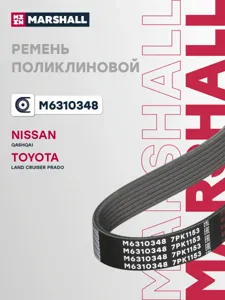 MARSHALL M6310348 Ремень поликлиновой