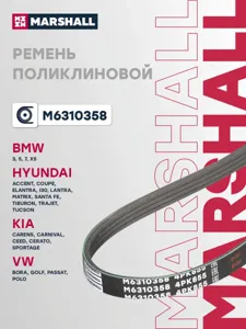 MARSHALL M6310358 Ремень поликлиновой