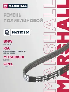 MARSHALL M6310361 Ремень поликлиновой
