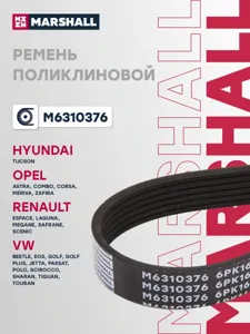 MARSHALL M6310376 Ремень поликлиновой