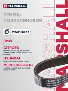MARSHALL M6310377 Ремень поликлиновой