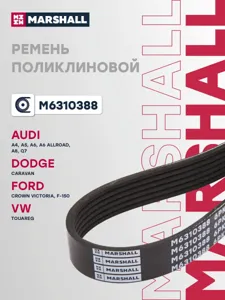 MARSHALL M6310388 Ремень поликлиновой