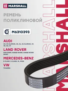 MARSHALL M6310393 Ремень поликлиновой