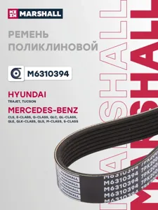 MARSHALL M6310394 Ремень поликлиновой
