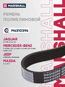 MARSHALL M6310396 Ремень поликлиновой