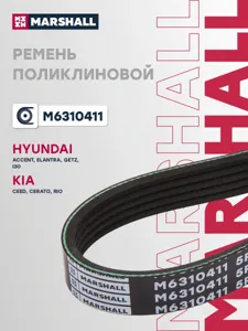 MARSHALL M6310411 Ремень поликлиновой