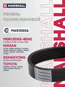 MARSHALL M6310506 Ремень поликлиновой