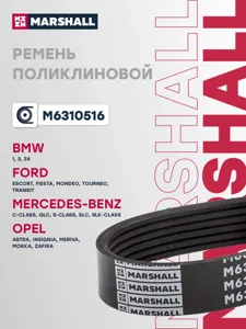 MARSHALL M6310516 Ремень поликлиновой