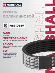 MARSHALL M6310559 Ремень поликлиновой