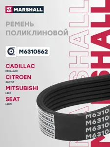 MARSHALL M6310562 Ремень поликлиновой