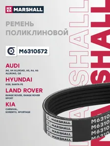 MARSHALL M6310572 Ремень поликлиновой