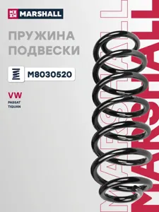 MARSHALL M8030520 Пружина задняя