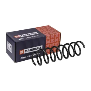 MARSHALL M8030950 Пружина задняя