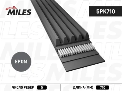 MILES 5PK710 Ремень приводной Ford Escort (95-) 1.8d Citroen BXXM