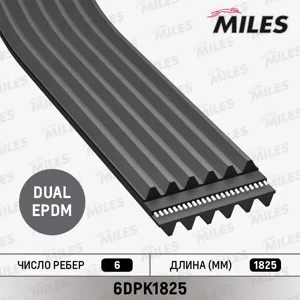 MILES 6DPK1825 Ремень поликлиновой