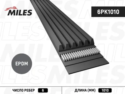 MILES 6PK1010 Ремень поликлиновой