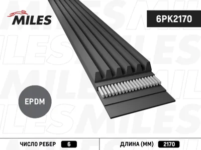 MILES 6PK2170 Ремень поликлиновой