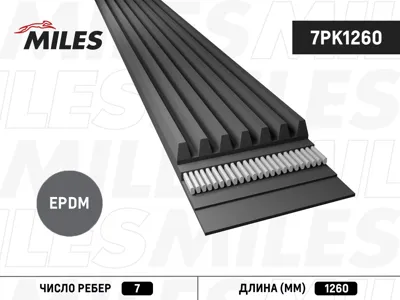 MILES 7PK1260 Ремень поликлиновой
