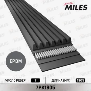 MILES 7PK1905 Ремень поликлиновой Toyota Camry 2.4 07> RAV4 2.4 06> Avensis Verso 2.0VVT