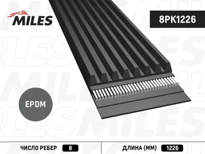 MILES 8PK1226 Ремень поликлиновой