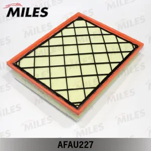 MILES AFAU227 Воздушный фильтр BMW Serie X5 (E70), Serie X6 (E71) (FILTRON AP0291, MANN C33001)