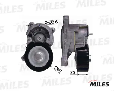 MILES AG00088 Натяжитель ремня приводного Peugeot 206307406 2.02.2