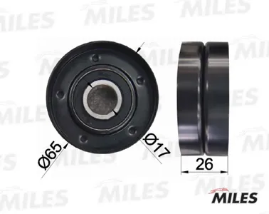MILES AG03047 Ролик ремня приводного VW Golf Passat 1.4 TSI 05-