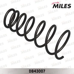 MILES DB43007 Пружина задняя Hyundai Accent 1.31.51.6 99-06 ( RI6112)