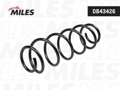 MILES DB43426 Пружина подвески Renault Laguna 07- задняя