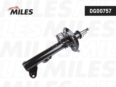 MILES DG00757 Амортизатор Mercedes E-CLASS W212 09- пер.газ.