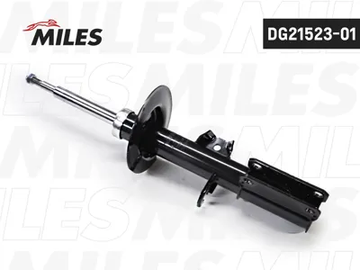 MILES DG2152301 Амортизатор BMW X5 E53 пер.прав.газ.