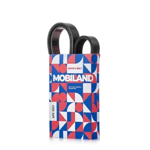 MOBILAND 501261053 Ремень 6PK1053 (EPDM) Skoda Octavia II (1Z3), VW Passat B7 (362), Tiguan (5N), Polo V (6R1,
