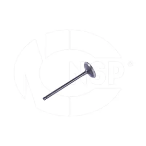 NSP NSPRS76N24 Клапан двигателя впускной Ford Mondeo 2.0i 16V 00-